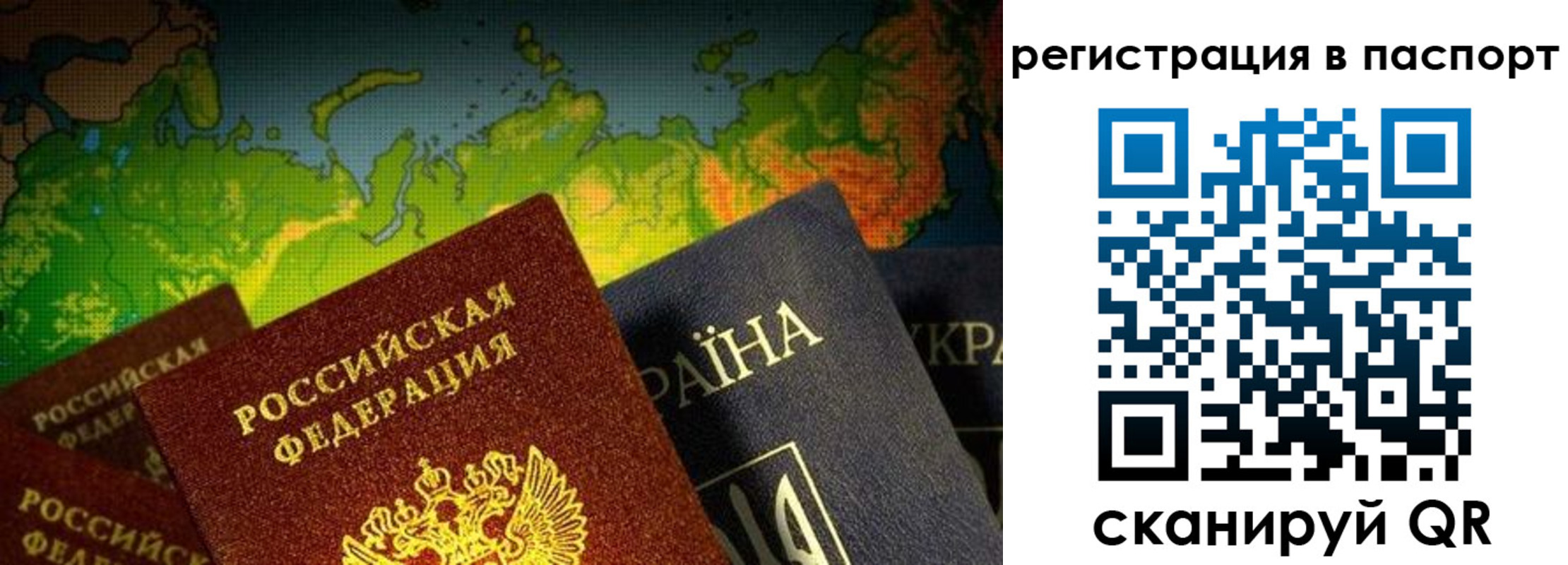 временная регистрация гарантия в Светлогорске