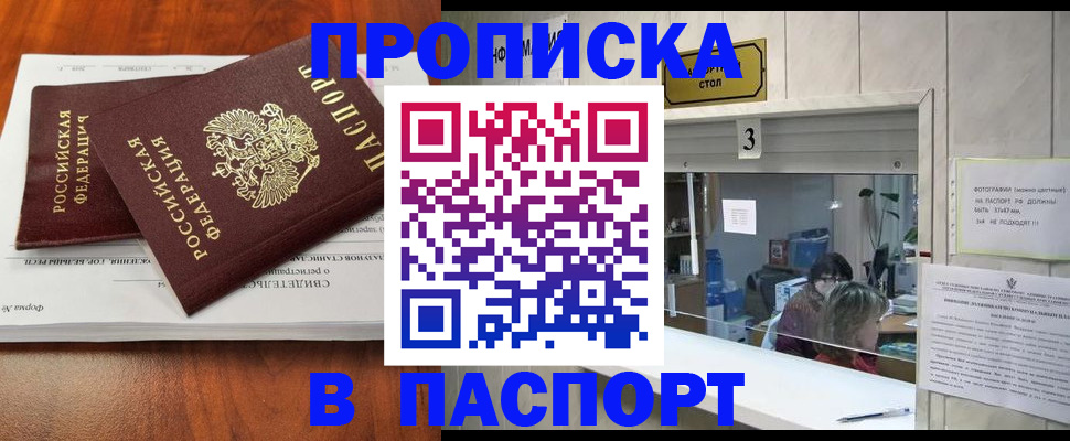 временная регистрация поиск в Светлогорске